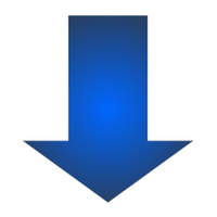 Learn about our Team